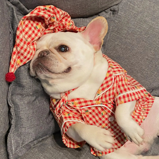 Cozy Cat & Dog Schnauzer Outfits